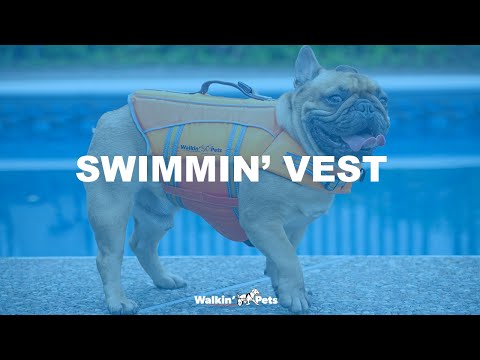 Walkin Swimmin Vest