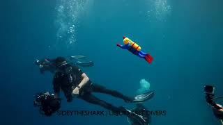 Baby Bath Toy Wind Up Diver