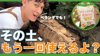 You can still use old soil!?] Techniques for reusing and