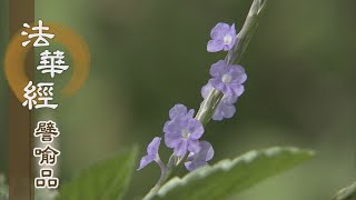 【靜思妙蓮華】法華經譬喻品 - 心法無際 - 20201104 第537集