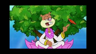 Japanese Dub Spongebob Squarepantsスポンジボブ Squirrel Jelly Clip