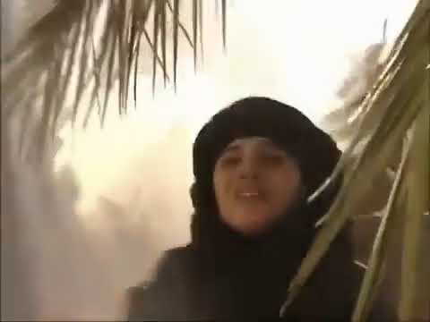 فيلم موكب الإباء فيلم يحكي قصة سبايا الإمام الحسين عليه السلام