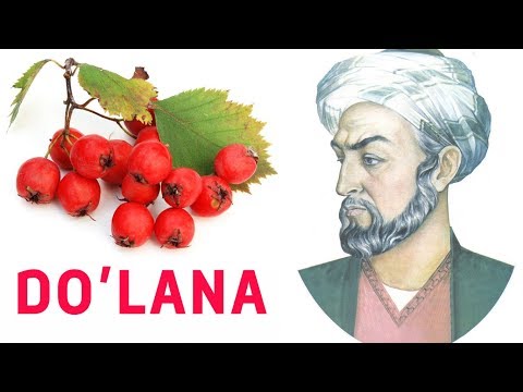 Video: Do'lana Qanday Quritiladi