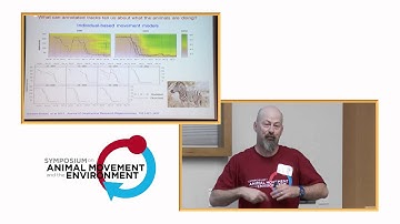 AMoveE 2014: Gil Bohrer