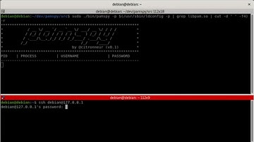 Pluggable Authentication Modules (PAM)