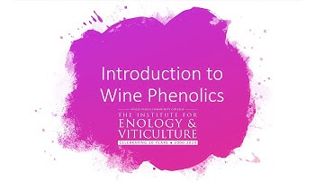 Introduction to Wine Phenolics