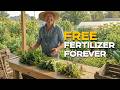 7 Native Weeds That Create The Most Nutrient Dense Organic Compost Tea