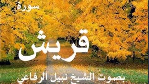 سورة قريش بصوت الشيخ / نبيل الرفاعي 106