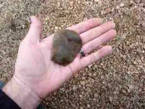 Arrowhead hunting in central Texas Killer day of s...