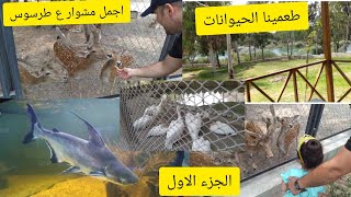 ولادي شافوا الحيوانات وطعموهم بإيدهماجمل مشوار ع طرسوس