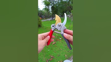 Kéo Cắt Cành Cây Cầm Tay, kéo cắt tỉa cành bonsai #keocatcanh #keocattiacanhcay #keocatcanhcay