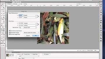 Resizing Images in Fireworks