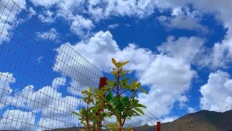 Apple iPhone XR Camera Testing (time lapse, slow motion, low light)