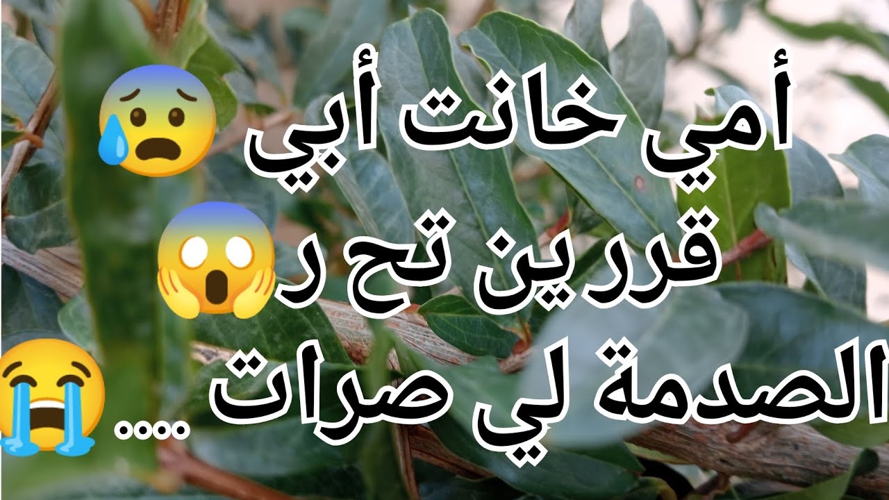 أمي خانت أبي 😰قرر ين ت ح ر😱والصدمة لي صرات.....😡