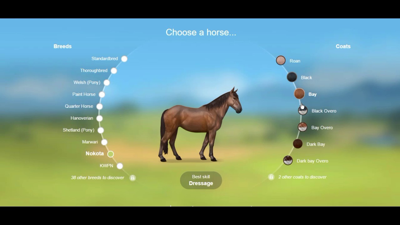 Signing up on Howrse Choosing your horse and Username YouTube