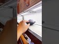 みんな...ゴムゴムの実を見つけました！？　#ワンピース #ゴムゴムの実 #ルフィ #検証 #tiktok #くら寿司
