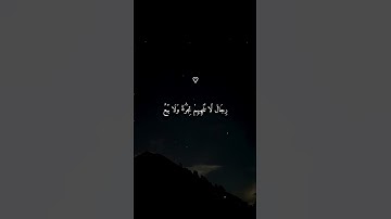 تلاوة خاشعة تخشع لها القلوب بصوت الشيخ ماهر المعيقلي ارح سمعك ♡ #ماهر_المعيقلي