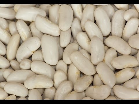 Видео: 9 Amazing Health Benefits Of Cannellini Beans
