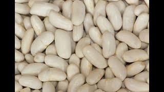 Cannellini Beans 101-Health Benefits