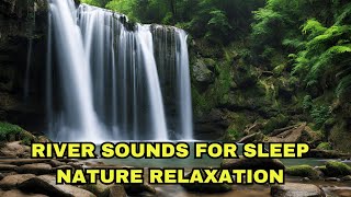 River Sounds For Sleeping 🌳 Forest Stream Cradle, Soothing ASMR Woodland Water Lullaby for Repose