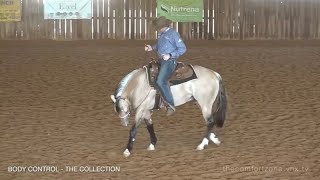 COLLECTION EXPLAINED! How and Why we Collect our Horses