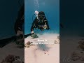 4 Easy ways to get the Best Shots for your Feed (Ft. @mattevansfilm) #gopro