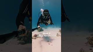 4 Easy ways to get the Best Shots for your Feed (Ft. @mattevansfilm) #gopro