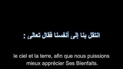 ما هي النفس ؟وما الفرق بين النفس والروح؟؟ تأويل سورة الشمس الجزء الثاني