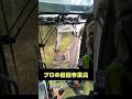 草刈りのプロフェッショナル#shorts