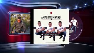 AMALOMOMNANDI - IZIGI ZOSELESELE CD PROMO 2019