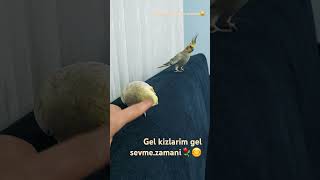 Zamani🦜❤️