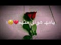 محمد الشحي لاتكره...
