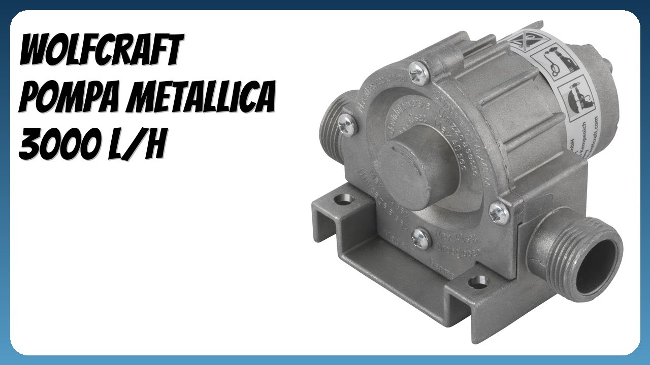 RECENSIONE (2026) : wolfcraft Pompa Metallica 3000 l/h. DETTAGLI