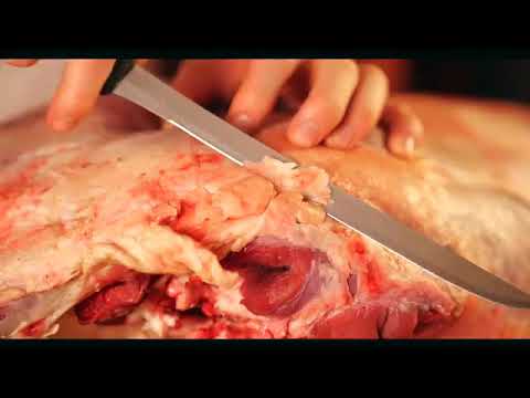 ხორცის დამუშავება და უგემრიელესი ფინიში