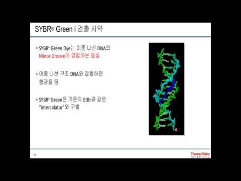 Real-Time PCR의 정량 원리 및 응용