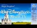 Wdw today channel  resort tv  walt disney world  disney 247 live stream