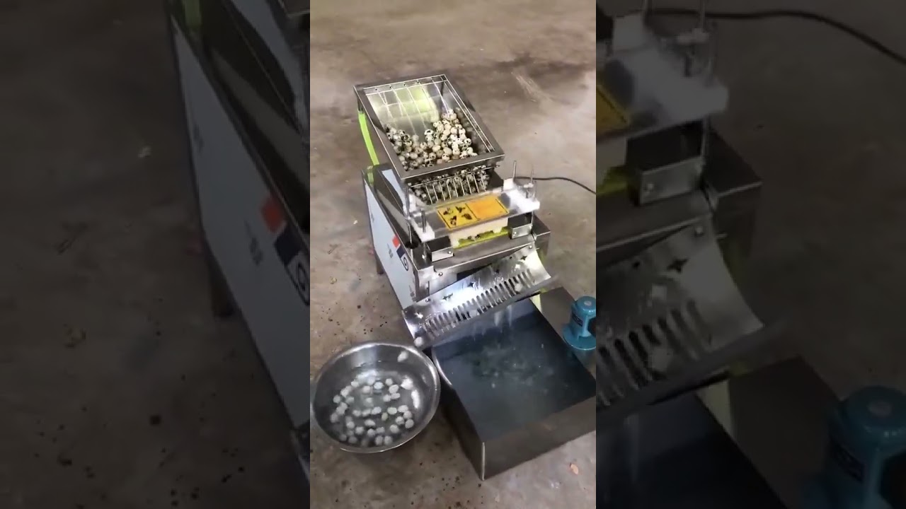 Interesting! Bird-egg peeling by a simple 