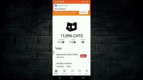 5 October Cats Youtube Video Code | Make Money Online For Free Code | cats new video code task
