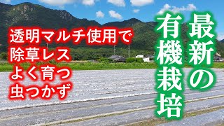 超科学的　最新の有機栽培　太陽熱養生処理　BLOF理論