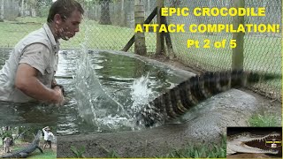 CROCODILE MAN -The BEST CROCODILE Compilation Ever! Top 10 CROCDILES CROC VS Croc Dude YOUTUBE 2 of5