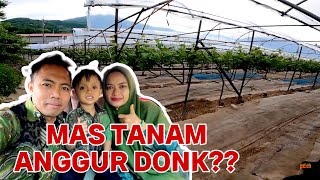 REVIEW KEBUN ANGGUR#SAYA UDAH PUNYA KEBUN ANGGUR