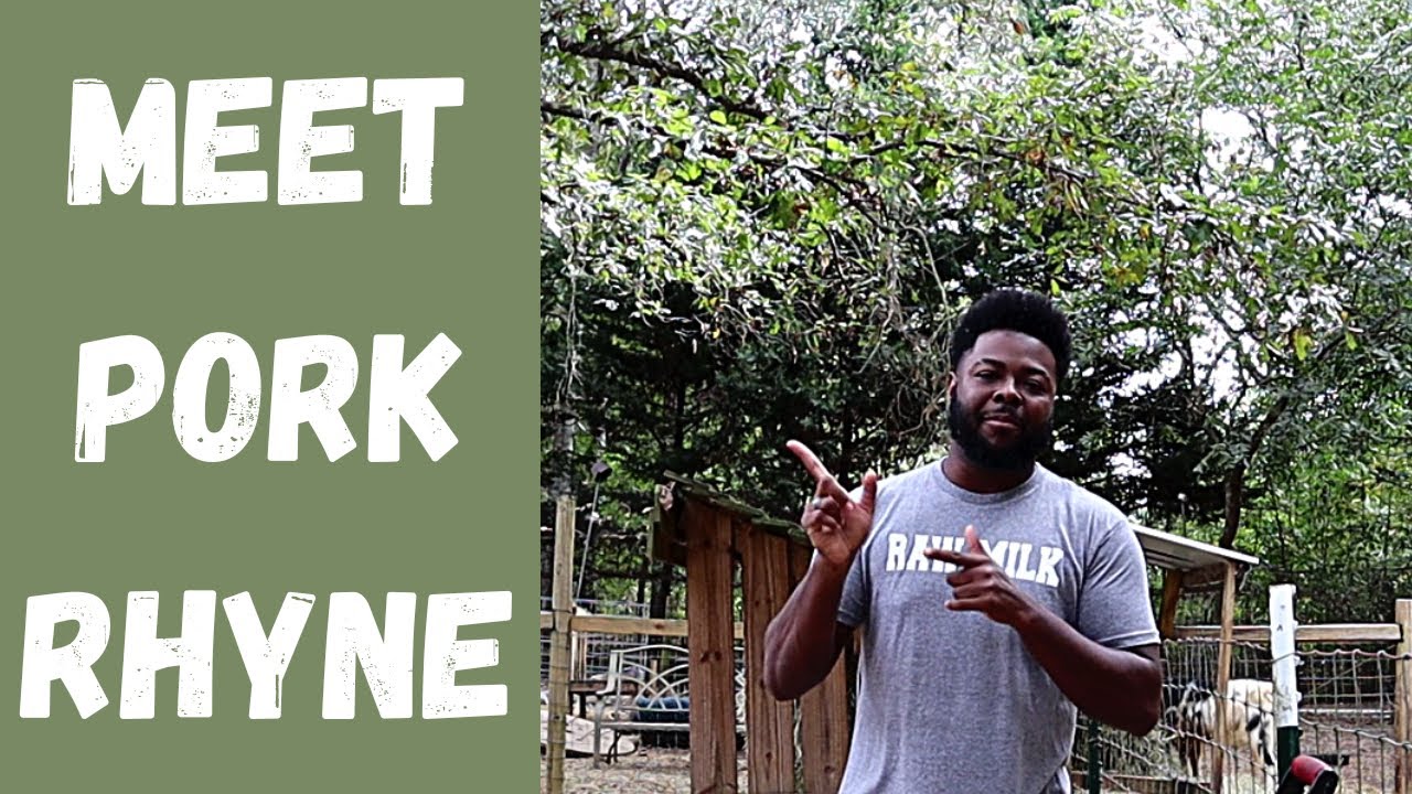 Our friend is a pig expert!