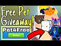 HUGE BUBBLE GUM SIMULATOR *FREE PET* GIVEAWAY! 🔴ROBLOX🔴