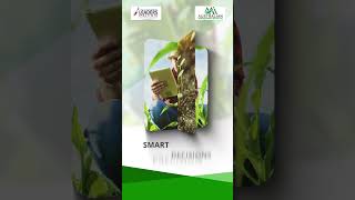 Master of Agricultural Information Management at Leaders Institute Australia.