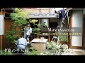 【Japanese Garden】Maintenance of the courtyard garden　- 中庭の手入れ-