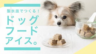 【製氷皿でOK】ドッグフードで犬のアイス作り！熱中症対策にもおすすめ