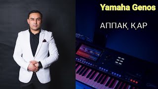 Аппақ Қар (Cover) - Ершат Болатұлы Yamaha Genos