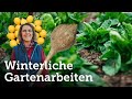 Januar (Jänner): Gartenarbeiten auf die du NICHT vergessen solltest! 🤓