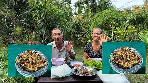 Trở lại đồng Phú Tân câu cá rô tại kênh mới cá rô chiên nước mắm ớt 