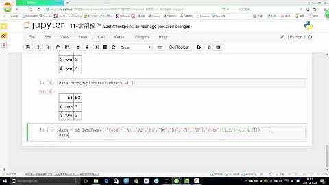 【唐宇迪科学计算库Numpy】17 13 Pandas常用操作